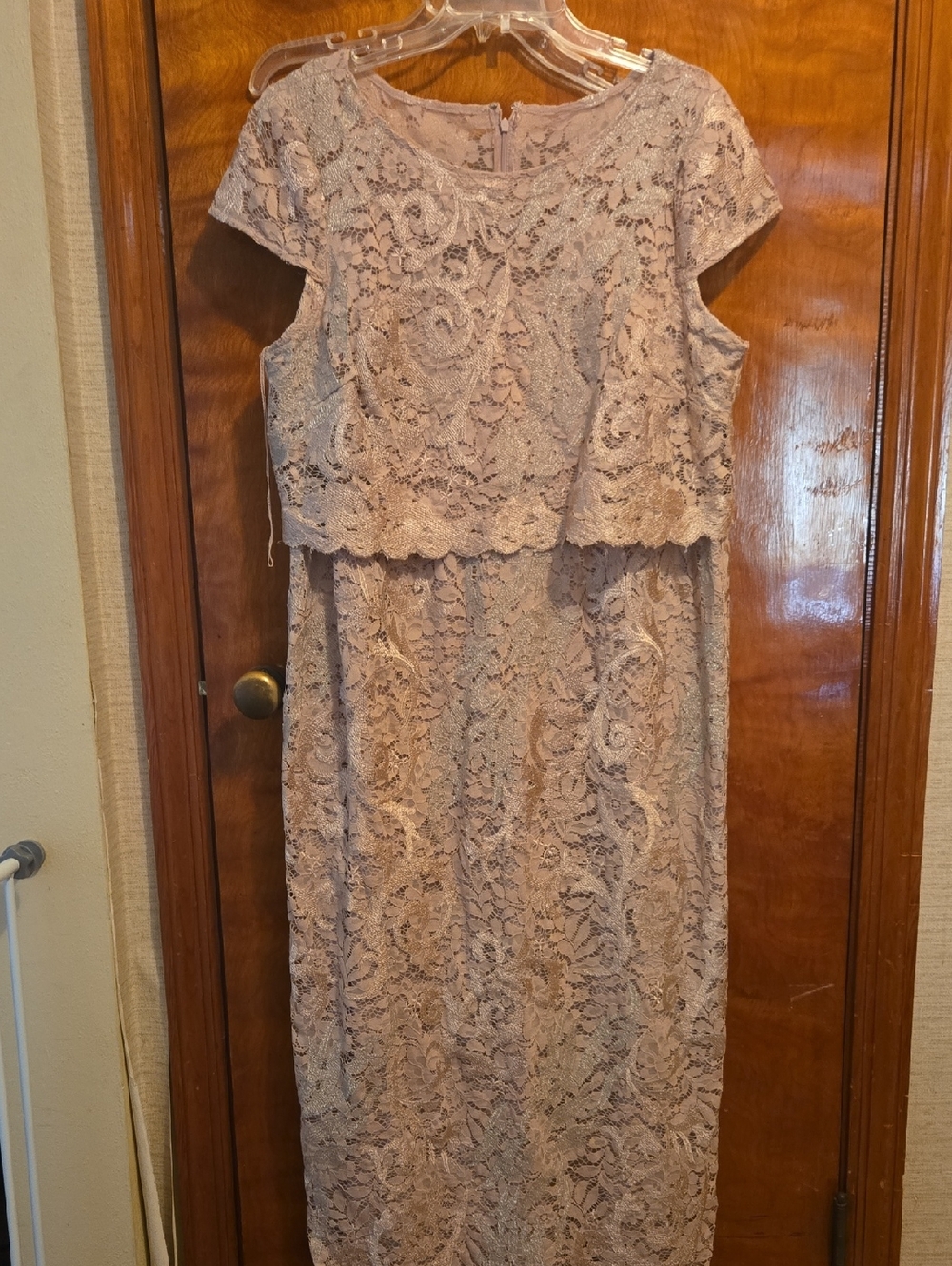 Adrianna Papell Blush Lace Midi Dress with Scalloped Overlay